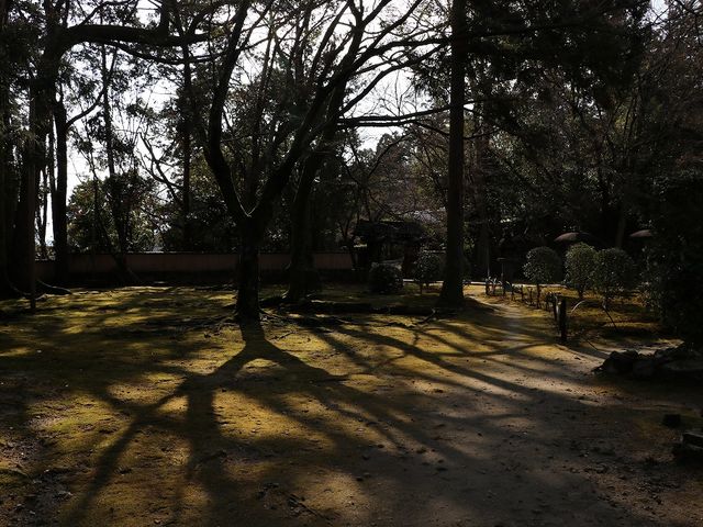 冬の日差し。_慈眼堂