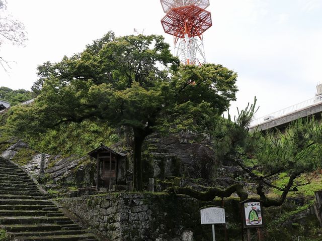 観音寺への階段横の岩上にいらっしゃいます。_観音寺十六羅漢