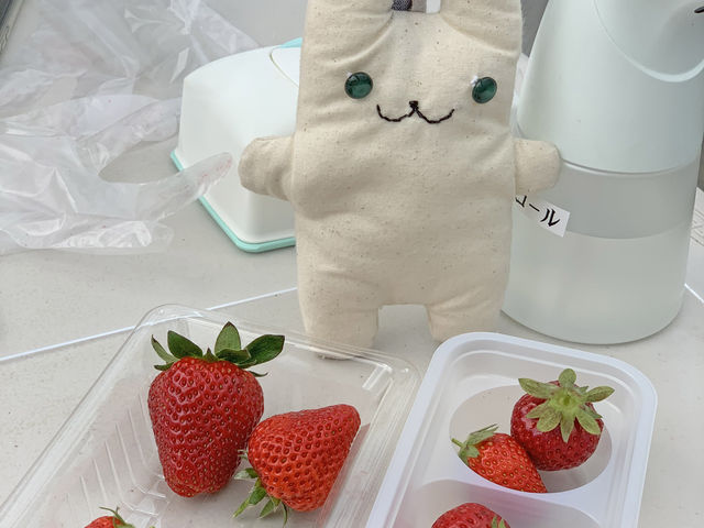 いっぱい種類あるんだね〜_Yokohama Very Berry