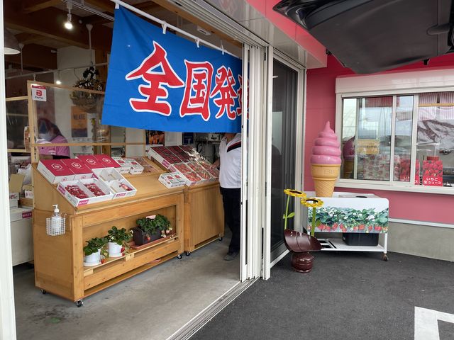 採れたてイチゴも直送 OK_早川農園