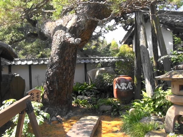 敷地内の庭を撮影_八雲庵