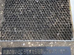 西伊豆歩道の写真2