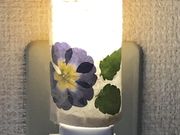 みいさんのときがわブランディング工房 手漉き和紙たにのの投稿写真3
