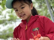 999さんのうぐいすの宿観光果樹園の投稿写真2