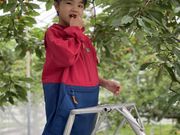 999さんのうぐいすの宿観光果樹園の投稿写真4