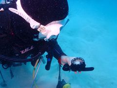 よっしーさんのDIVING SHOP RYAAANへの投稿写真1