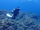 よっしーさんのDIVING SHOP RYAAANへの投稿写真4