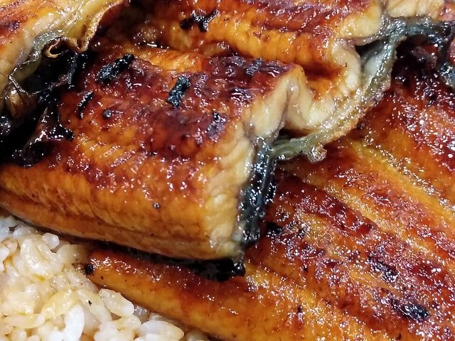 大きな鰻_うな政・セントラルスクエア静岡店