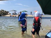 JPエルウイングさんの寒川海水浴場の投稿写真4