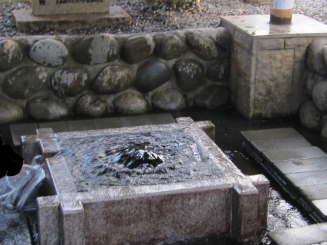 滔々と湧き出しています。_八幡神社「大垣の湧水」