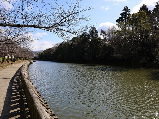 堀の周囲は遊歩道になっています。_丹波亀山城跡