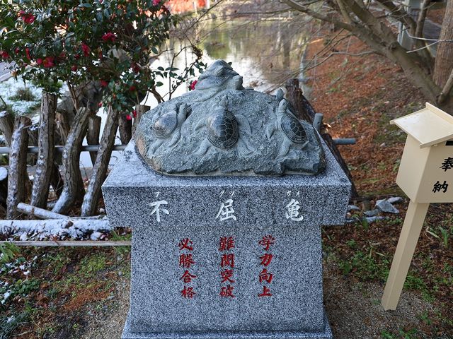 不屈亀。_ひえ田野神社