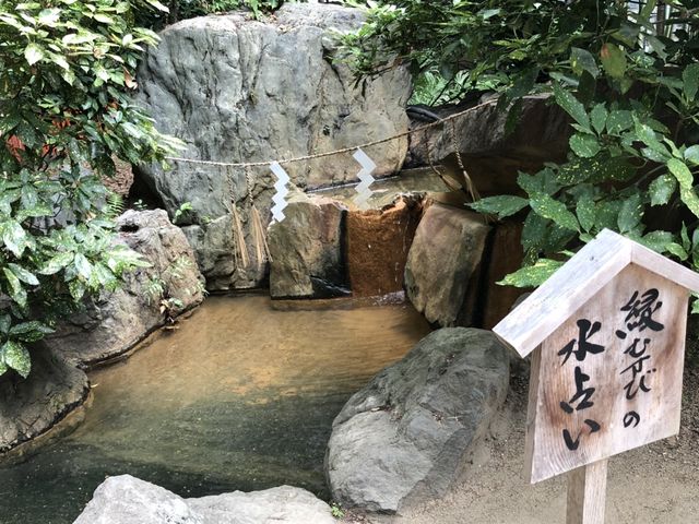 神戸 生田神社 縁結びの水占い_生田神社