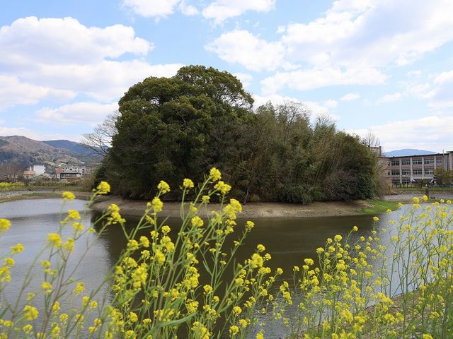 北西から見た纏向勝山古墳。_纏向勝山古墳