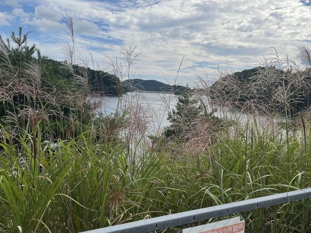 youyouさんの太田池(太田ダム)の投稿写真1