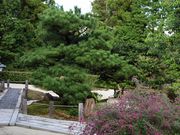 Yanwenliさんの虎渓山 保寿院の投稿写真1