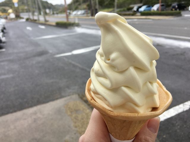 ボンタンソフトクリーム_道の駅 阿久根