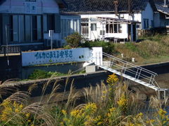 トシローさんののとじまこうだイルカウォッチングへの投稿写真1