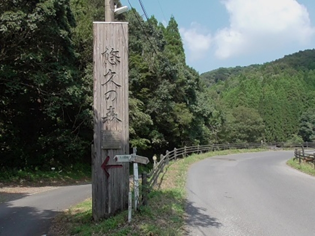 悠久の森