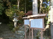 やんまあさんの武内神社の投稿写真1