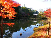 やんまあさんの円成寺庭園の投稿写真1