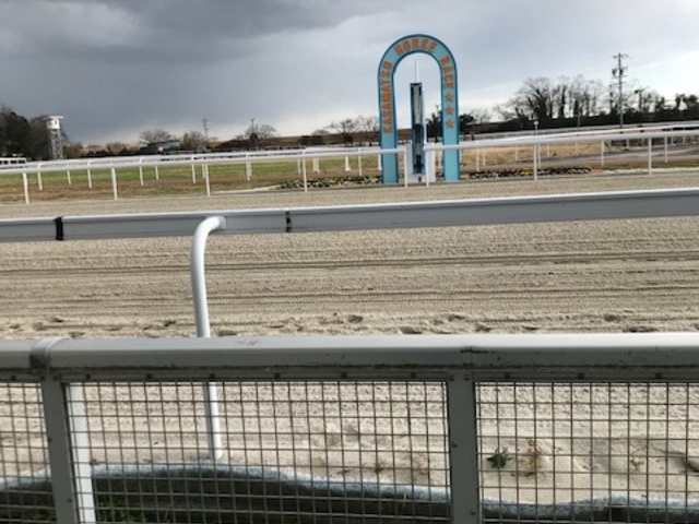 ゴール地点です。漫画にも出ていたので、少し感動しました。_笠松競馬場