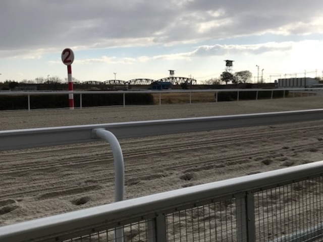 中のレース場はこんな感じです。_笠松競馬場