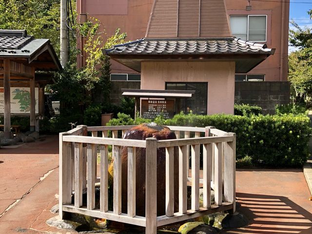 源泉の奥、左に足湯があります_城崎ジェラートカフェChaya本店