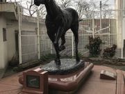 ああああさんの笠松競馬場の投稿写真3