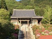 かささんの川崎大師京都別院 笠原寺の投稿写真1