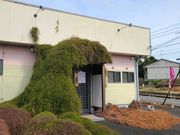 桜島さんの大将の投稿写真1