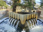 あきぼうさんの21世紀記念公園 麓山の杜の投稿写真2