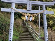 ウッキーさんの住吉神社の投稿写真1