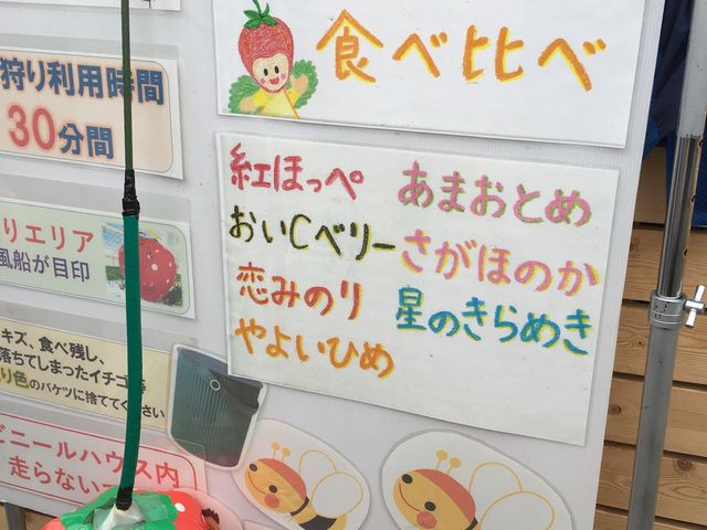 ハウス内説明書き_なるベリーファーム