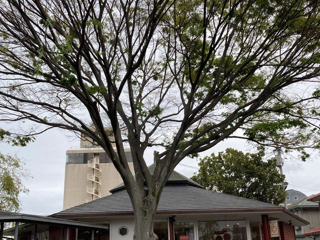 夢二郷美術館本館_夢二郷土美術館本館