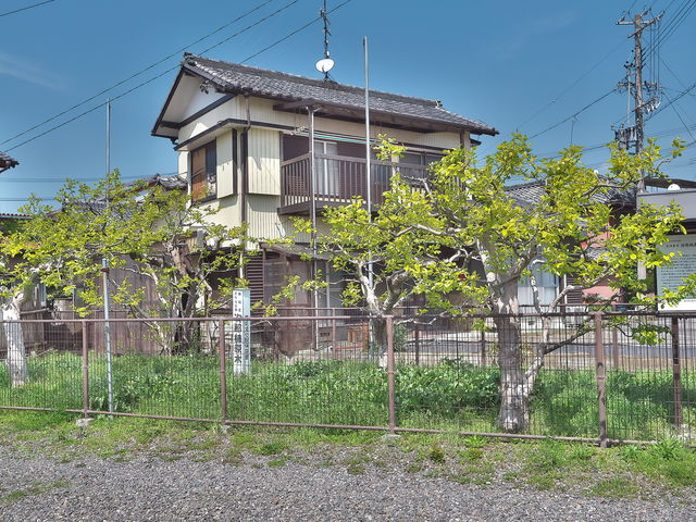 sklfhさんの次郎柿原木の投稿写真1