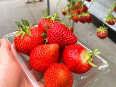 reikoさんのりょうぜん結への投稿写真1