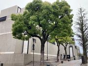 ウッキーさんの岡山市立オリエント美術館の投稿写真1