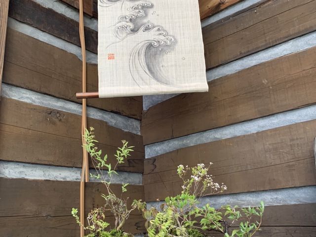 初夏の愉しみ2_チェリーガーデン野草庵
