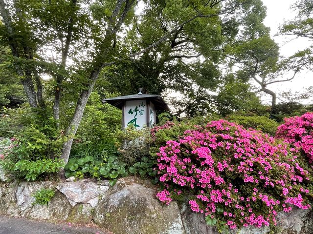竹林亭_御宿 竹林亭
