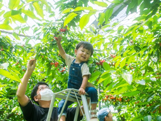孫も脚立に乗り_小野大正園