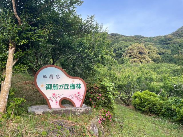 御船ヶ丘梅林_御船ケ丘梅林