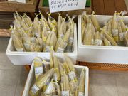 レッド・スマートさんのみのぶ ゆばの里の投稿写真1