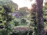 4人のかーちゃんさんの武雄神社の肥前鳥居の投稿写真1