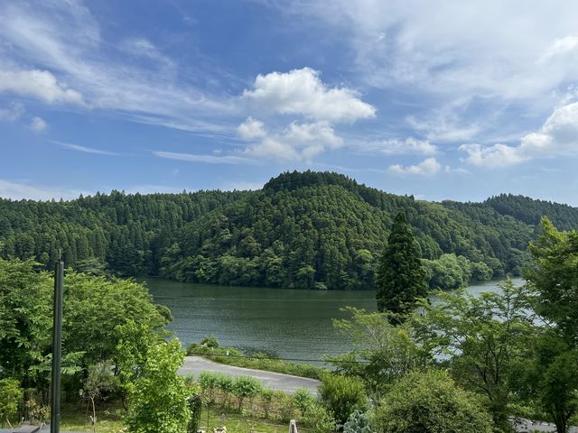 ほんとにスイスやん_茶房 桜湖