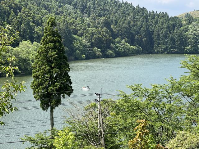 雨降ってないのにたっぷり!_茶房 桜湖