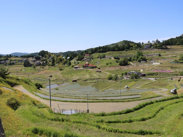 周南市 中須の棚田_中須の棚田