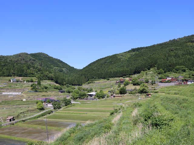 周南市 中須の棚田_中須の棚田