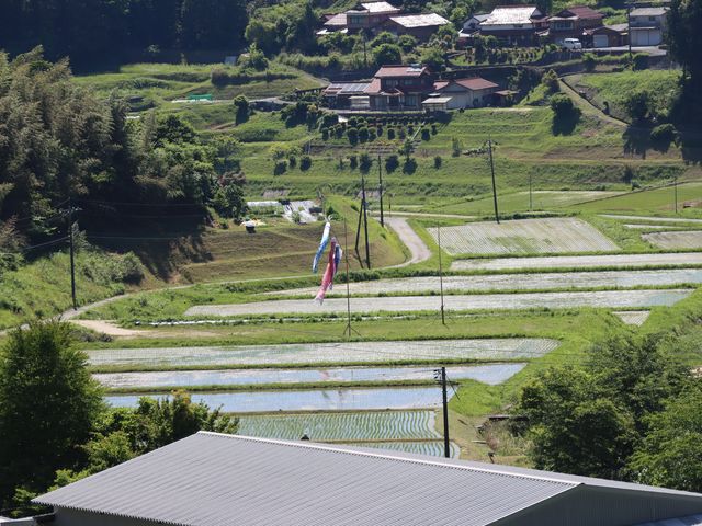 周南市 中須の棚田_中須の棚田