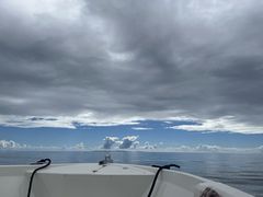 リエさんのマリーナエイトへの投稿写真1